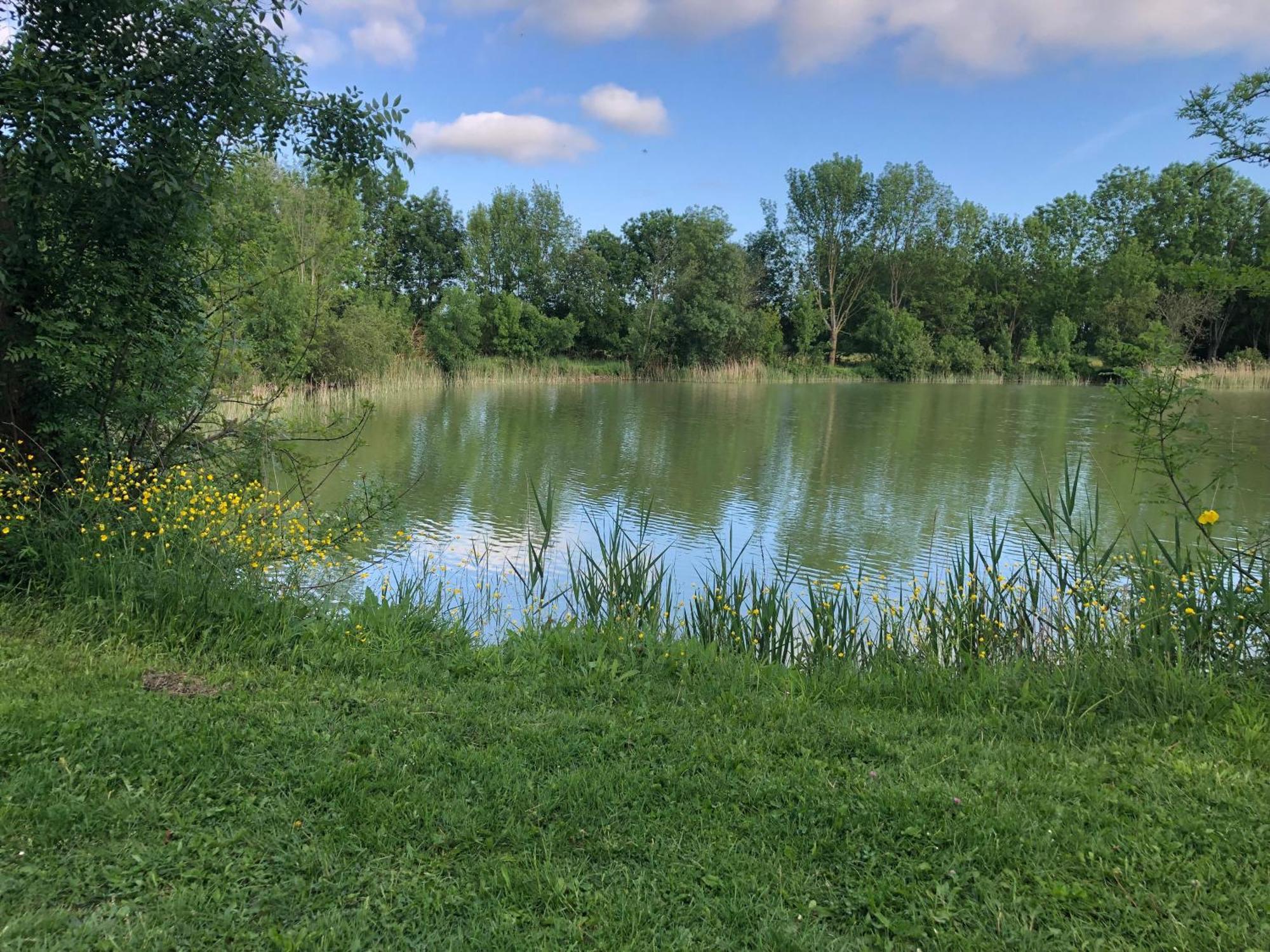 Le Logis De Vallans Zewnętrze zdjęcie