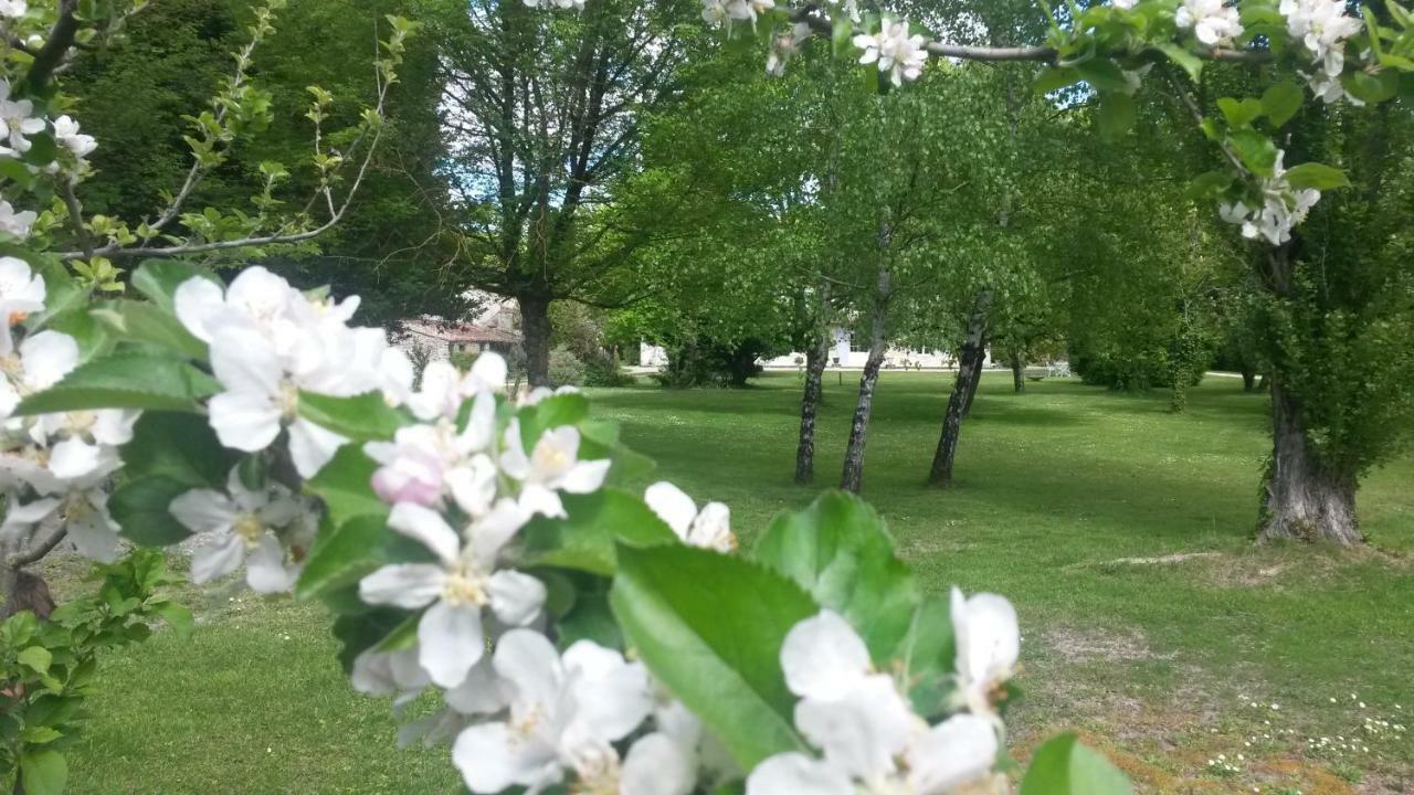 Le Logis De Vallans Zewnętrze zdjęcie